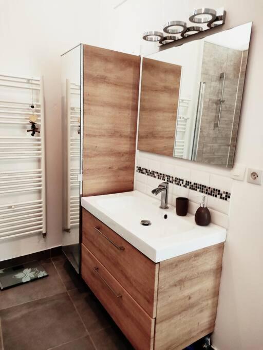 Superbe Maison Renovee Avec Agreable Jardin Sainte-Catherine  エクステリア 写真